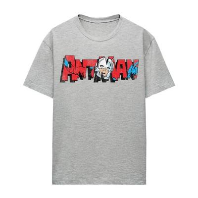 Ant-Man i Osa: Quantumania Damska/Damska Koszulka Heather z Logo w Stylu Retro
