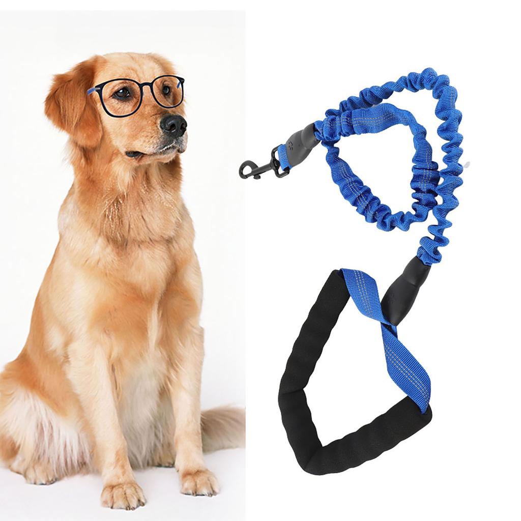 3.28ft Strong Rope Dog Elastic Leash With Comfortable Handle Dog Walking Training Leash(Blue)