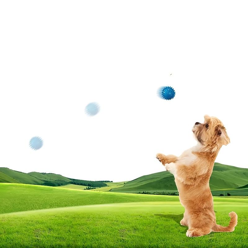 Dog Puppy Squeak Toy Ball: Jump, Massage & Clean Teeth & Gums for Optimal Health!