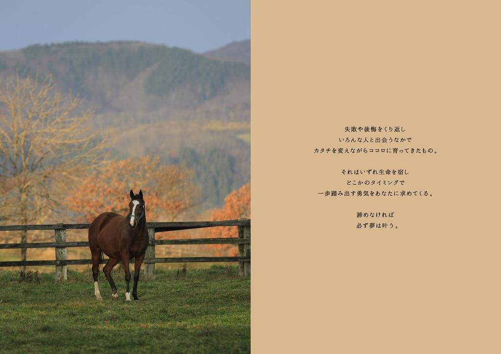 Umaletter Photo & Poem 100 Heartwarming Messages from Horse Breeding Areas