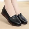 Spring and Autumn Women's Shoes: Round Toe, Cute, Stylish, Comfortable, Soft Sole, Slip-on, Flat, Low Heel, Casual Shoes