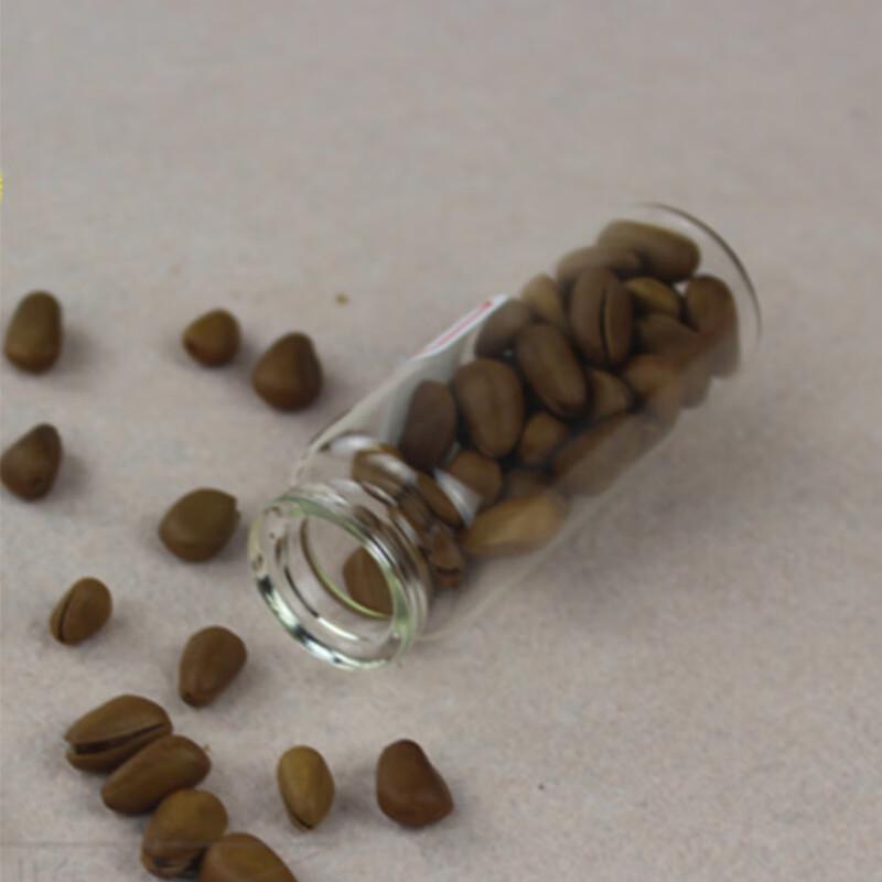Pabei 10ml Tubular Glass Bottle with Cork Stopper