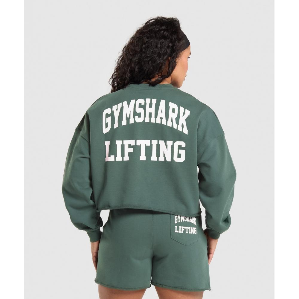 

Толстовка миди GYMSHARK с рисунком лифтинга Темно-бирюзовый B1B9A TBNH