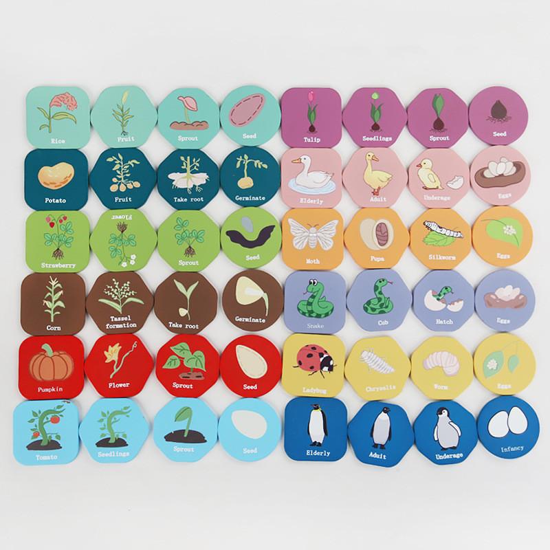 Wooden Nature Themed Lifecycle Puzzle Toy For Children Cognitive Skills Building