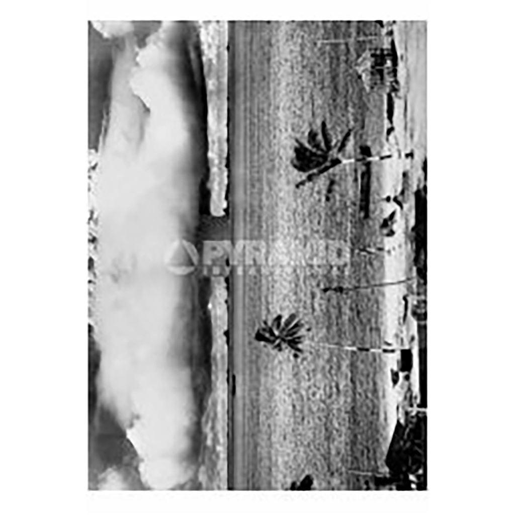 Pyramid International Bikini 1946 Bomb Print