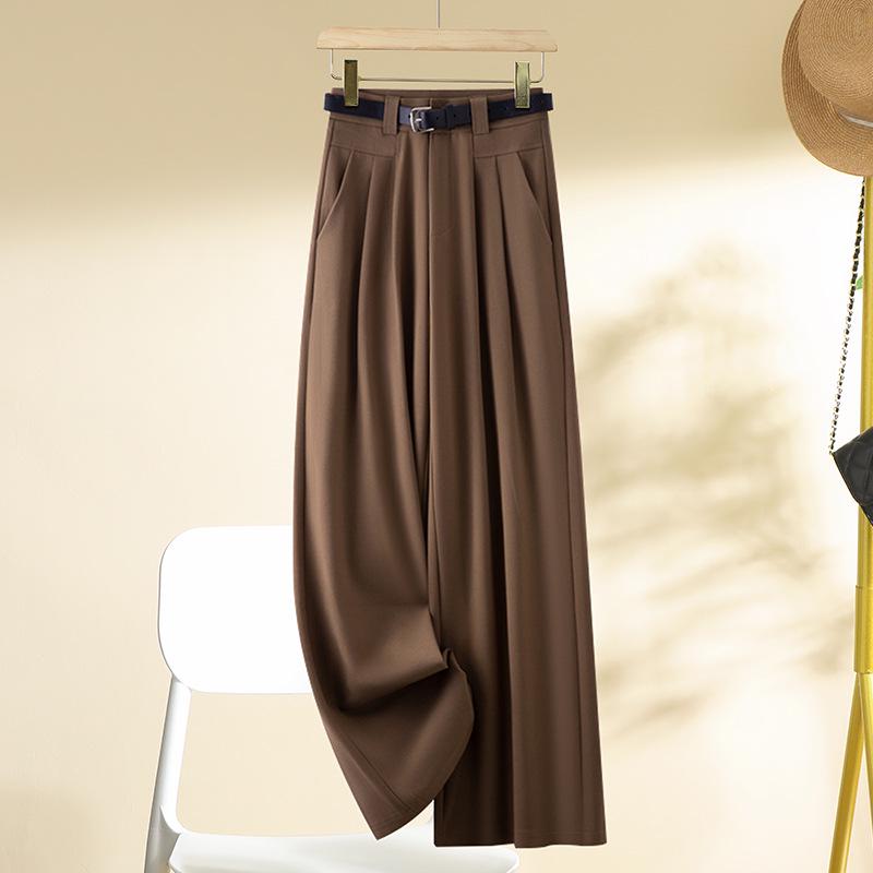 Women's Spring/Autumn Wide-Leg Drape Pants - Small Size, Straight Casual Design