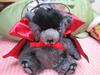 [USED] Limited Edition SPIRAL Vampire Teddy Bear Plush Toy, Authentic