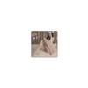 No Need To Take Off White Open Open Crotch Beautiful Body Perforated Uniform Silk Highly Erotic Stockings [REPROMGO] Stockings, Cosplay, Crotch, Sexy,