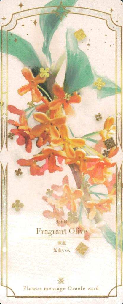 Flower Message Oracle Cards Shin 45 Cards with Instructions In and Chinese (4 Languages) Japanese, English, Korean, [Authentic]