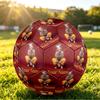 Billie Eilish Size 5 Football, Custom Name Text Personalized Soccer Ball Sport Training Gift
