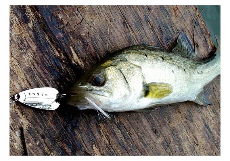 Cuchara Lucioperca Metal 10G 3.7Cm