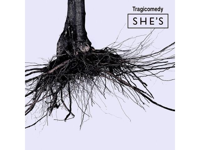 

[CD+DVD] Tragicomedy First Press Limited Edition SHE’S TYCT-69174 Piano Rock NEW