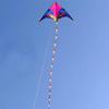 Fairy Style Large Triangle Kite for Adults and Children - Easy to Fly