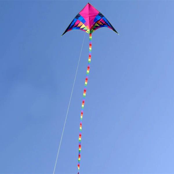Fairy Style Large Triangle Kite for Adults and Children - Easy to Fly