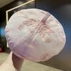 Retro flower embroidery forward hat women's summer versatile niche design beret showing face little painter hat