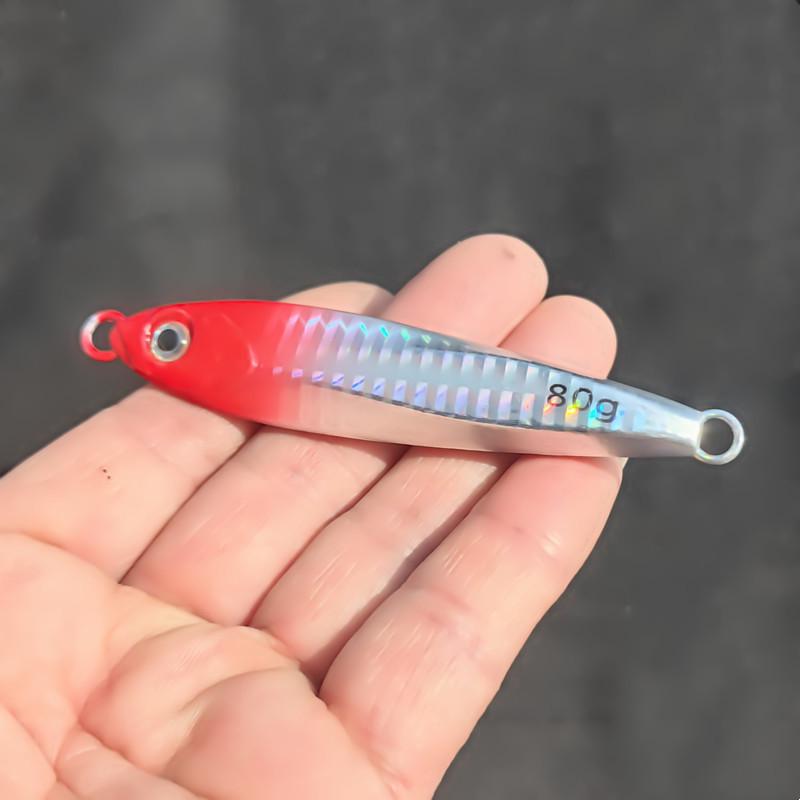 

Mackerel Jig Lure: Iron Plate Hook for Shore Fishing Aspius & Perch 10g