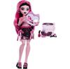 Mattel Monster High Doll Self-scare Secrets Draculaura Accessories