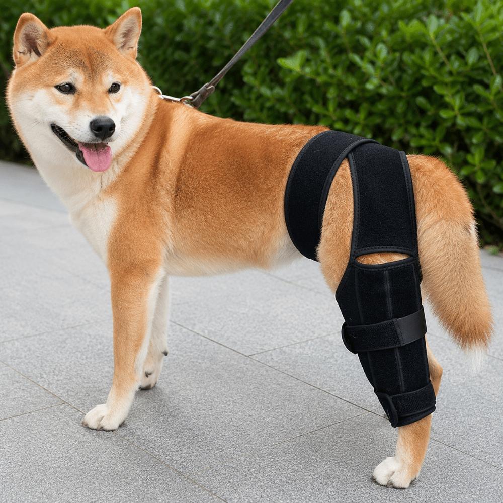 Breathable Pet Leg Support Adjustable Leg Fixation Strap Pet Recovery Bandage Leg Injury Care
