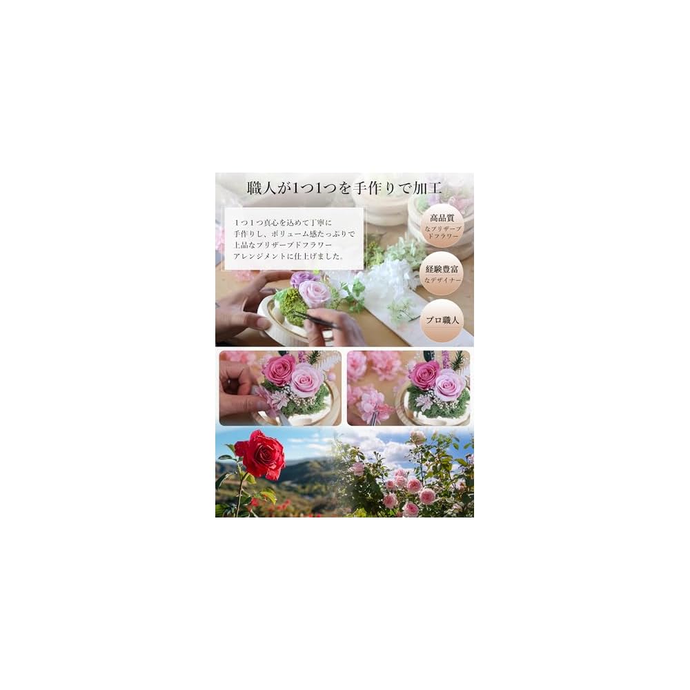 Preserved Flowers Birthday Flower Gift Angel-shaped Glass Dome with Special Box Light Purple Pink
