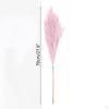 5Pcs 70cm Artificial Pampa Grass Dried Branches Stems Faux Bulrush Reed Flower For Vase
