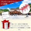 nijimomo Miniature Torii Gate Diorama Set 8 Shrine Model Aquarium (10 pieces, pieces), Kit, Craft, Japanese-Style (8, 3x3.8cm)