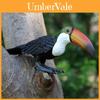 Wild Animal Big Billed Bird Ramphastos Toco Model For Kids Educational Toys