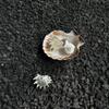 Bohemian Thorn Design Ring White Resin Starfish Shell Creative Seaside Jewelry for Women Daily Casual Wear