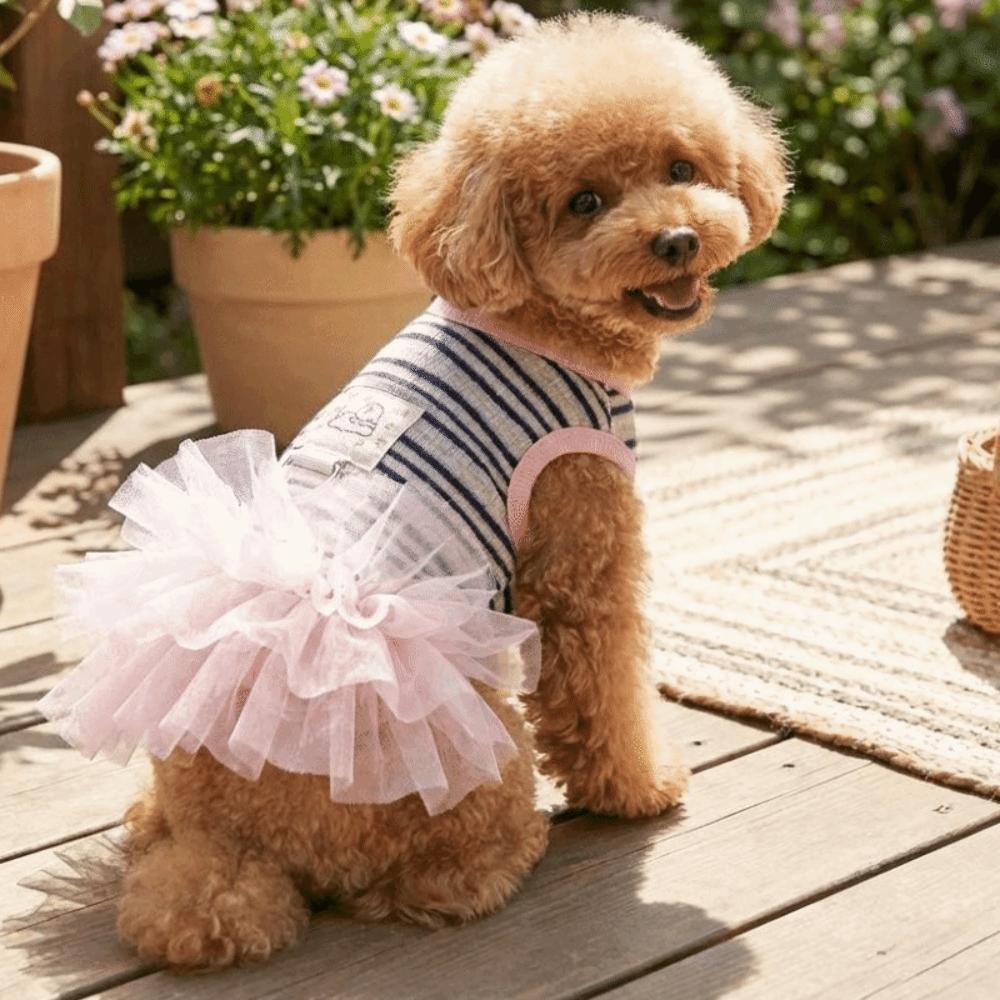 Thin Breathable Dog Cooling Vest Lace Skirt Pet T-shirt Fashion Puppy Princess Dress Small Dogs