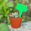 Garden Plant Tags Waterproof Plastic for Gardening Name Seedlings and Vegetables Plant Labels Reusable Markers Marcadores