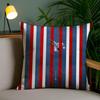 Classic Film T-Top Gun Cushion Cover Soft Short Plush Double-Sided Printing Home Decor Machine Washable Pillow Case Gift