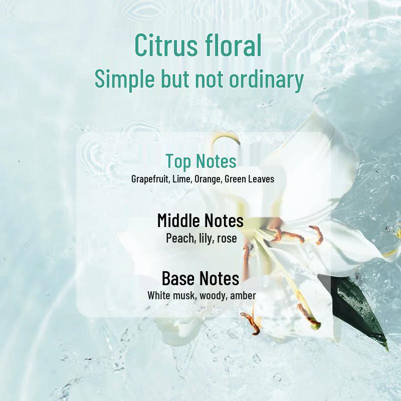 KAO Softening Hair Care Shampoo