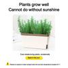 Rectangular Flower Pot Double Layer Self Watering Plant Pot Durable Vegetable Planting Pot