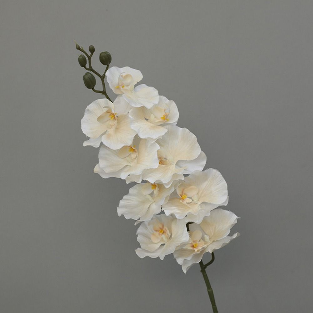 Plantă Atingere Reală Orhidee Fluture Artificială 9 Capete Floare Falsă Phalaenopsis Decor Nuntă