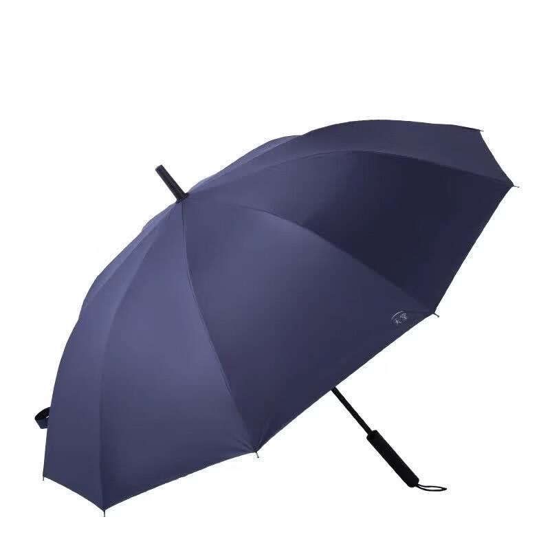 Paradise Automatic 10-Rib Windproof Straight Umbrella