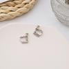 Non-Pierced Ear Clip Converter Set (Pair)