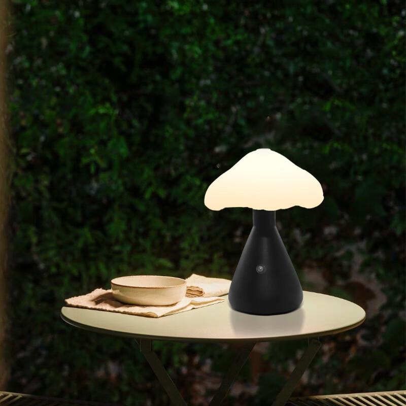 Creative Decorative Charging Desk Lamp