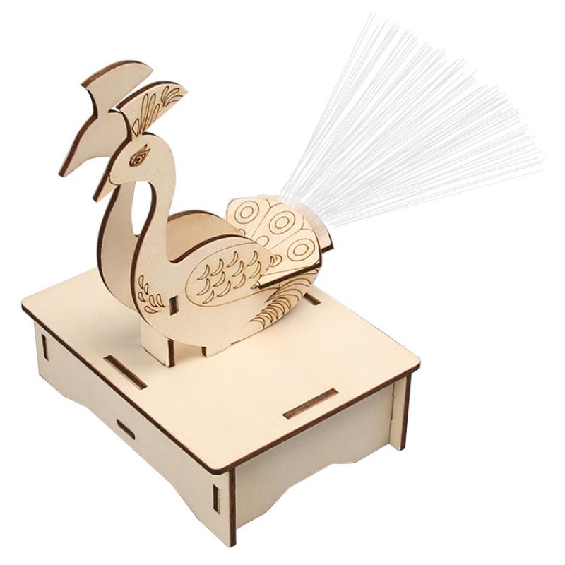 Technology Small Production Small Invention Handmade Diy Material Peacock Open Screen Science Small Experiment School Homemade Works