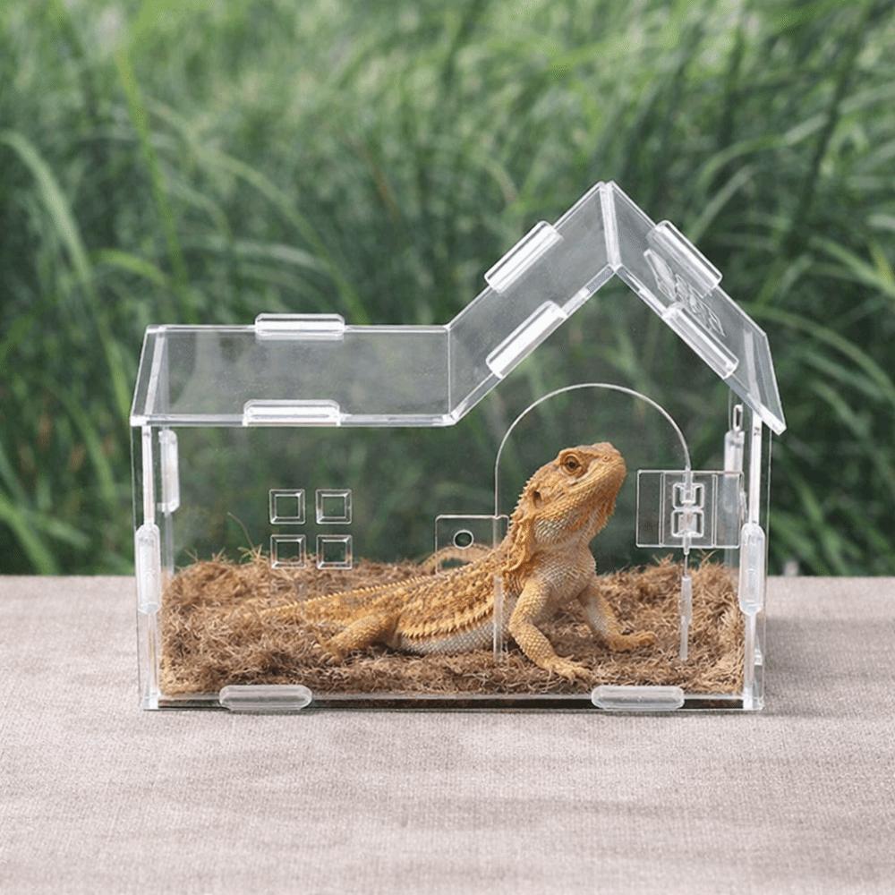 Acrylic Reptile Feeding Box Magnetic Reptile Habitat Box Pet Breeding Container  Breeding