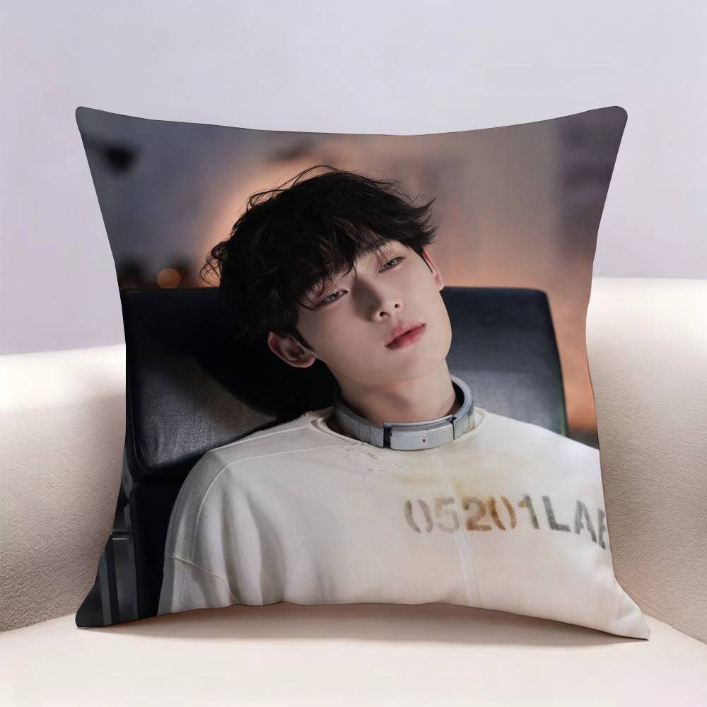 SSunoo Sunshine Ddeonu Doublesided print Pillow Case for Sofa Living Room Home office Decor Protective Cover