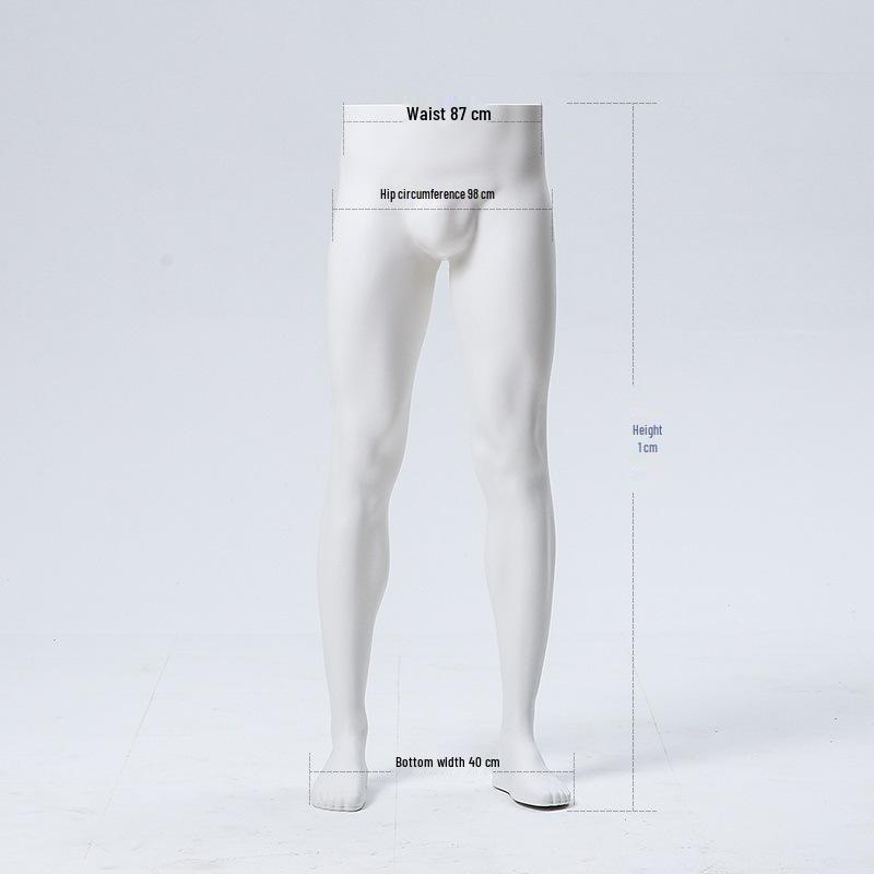 Unisex Torso Mannequin: Female & Male Underwear Display Stand