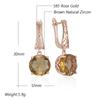 Brown Natural Zircon English Earrings For Women Unique Crystal Flower  Rose Gold Color High Quality Daily Jewelry