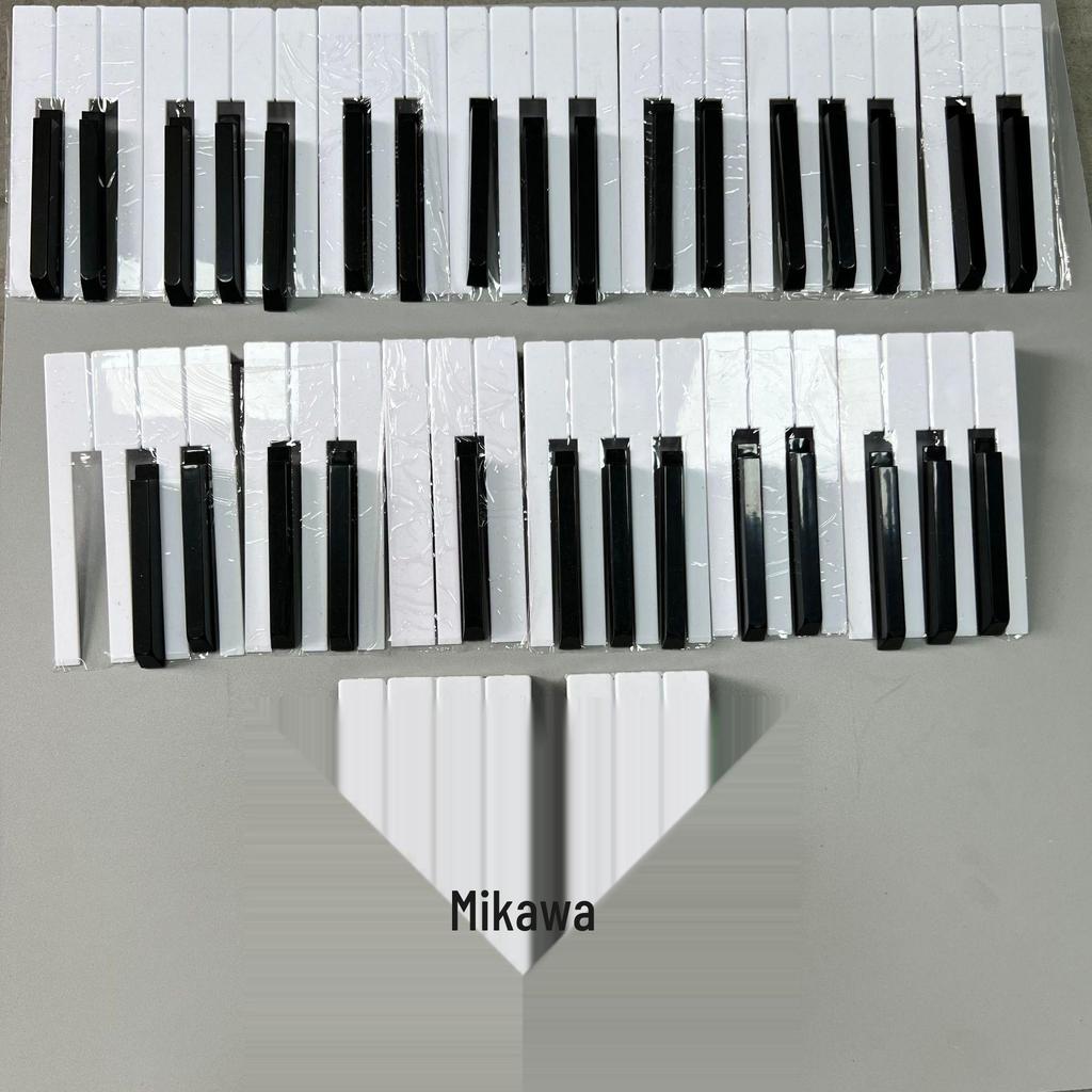 Piano Accessory Set: 88 Glossy White & Matte Black Leather Keys