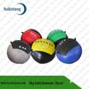 Ruibisheng Medicine Ball