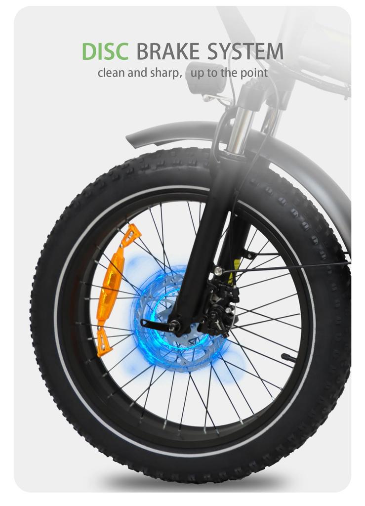 BAOLUJIE DZ2031 Electric Bike 20*4.0" Fat Tire, 500W Motor 48V 13Ah Battery 35-45km Range 40km/h Max Speed Mechanical Disc Brake