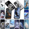 Mjukt mobilskal för Samsung Galaxy A05 A06 A14 A50 A51 A52 A12 A13 A17 A70 A07 A25 A26 A56 A23 M53 Fodral Uggla Fågel Kungsörn