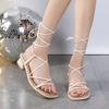Summer Ankle Strap Women Sandals Ladies High Heels Female Gladiator Shoes 2024 Sexy Pumps Square Toe Party Shoes