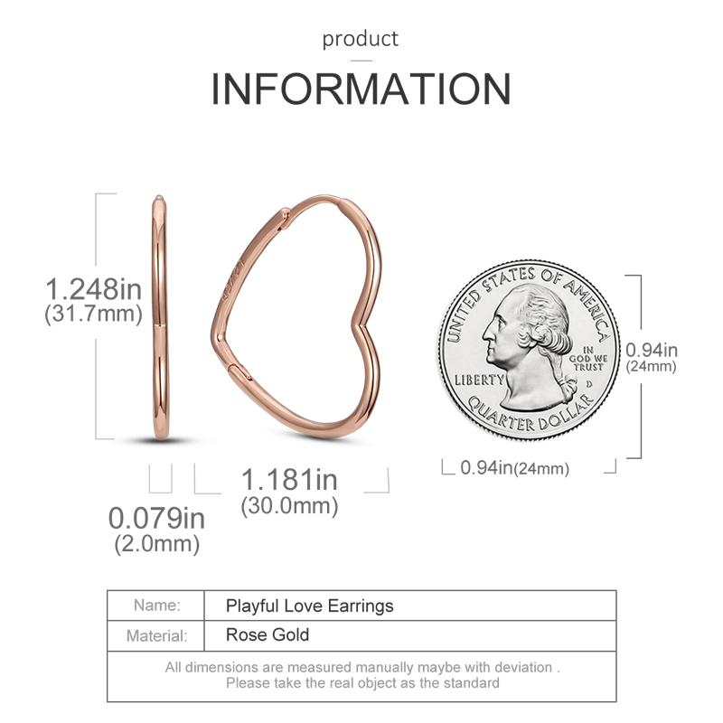 Double Hoop Dangle Earrings Silver Color Fit Original Brand Charms Fine Body Jewelry Gift For Fashion Women 