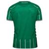 Hummel Unisex Adult 2025/2026 SV Werder Bremen Football Shirt
