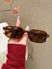 1Pc Retro Fashion Square Frame Sunglasses, Simple Casual Fashion Basics, Fashion Outfits, Street Photography, Driving