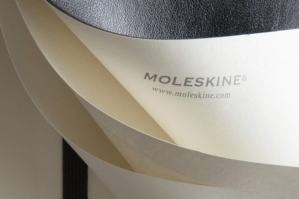 Moleskine Classic Notebook, Soft Cover, Plain, Large Size (13cm x 21cm), Black, QP618